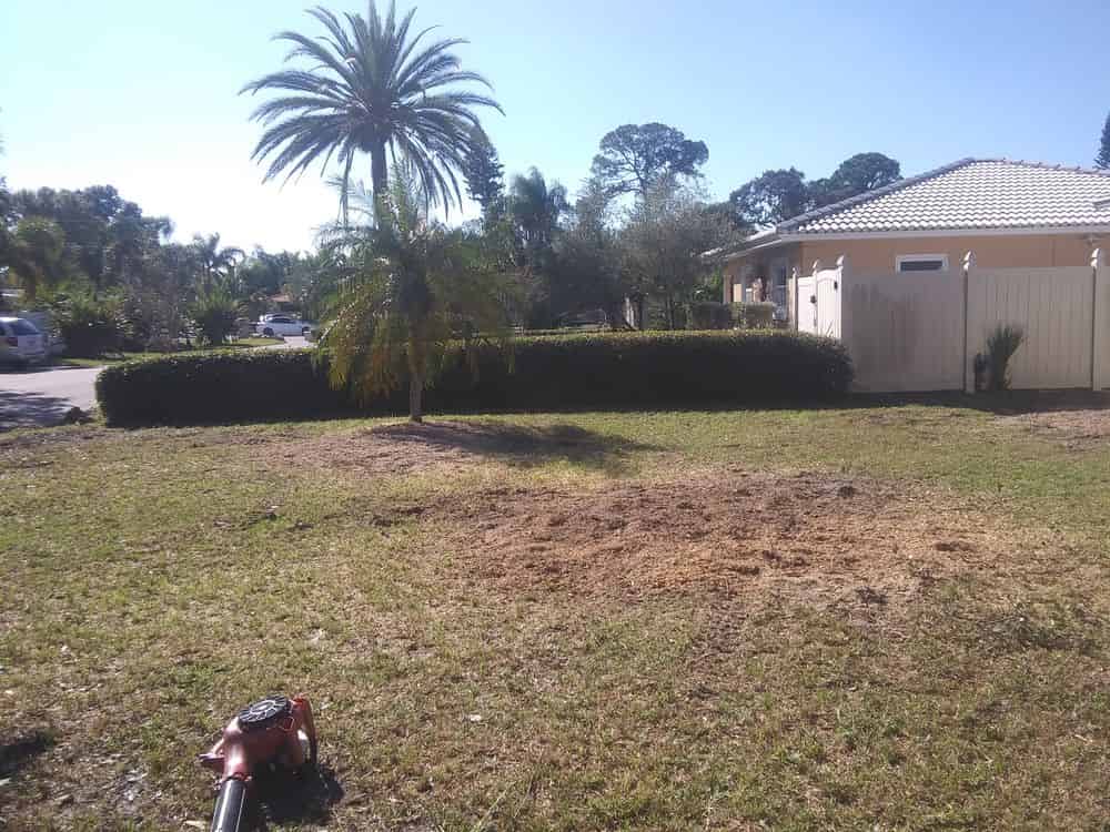 Land Clearing image