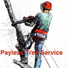 Payless Tree Service