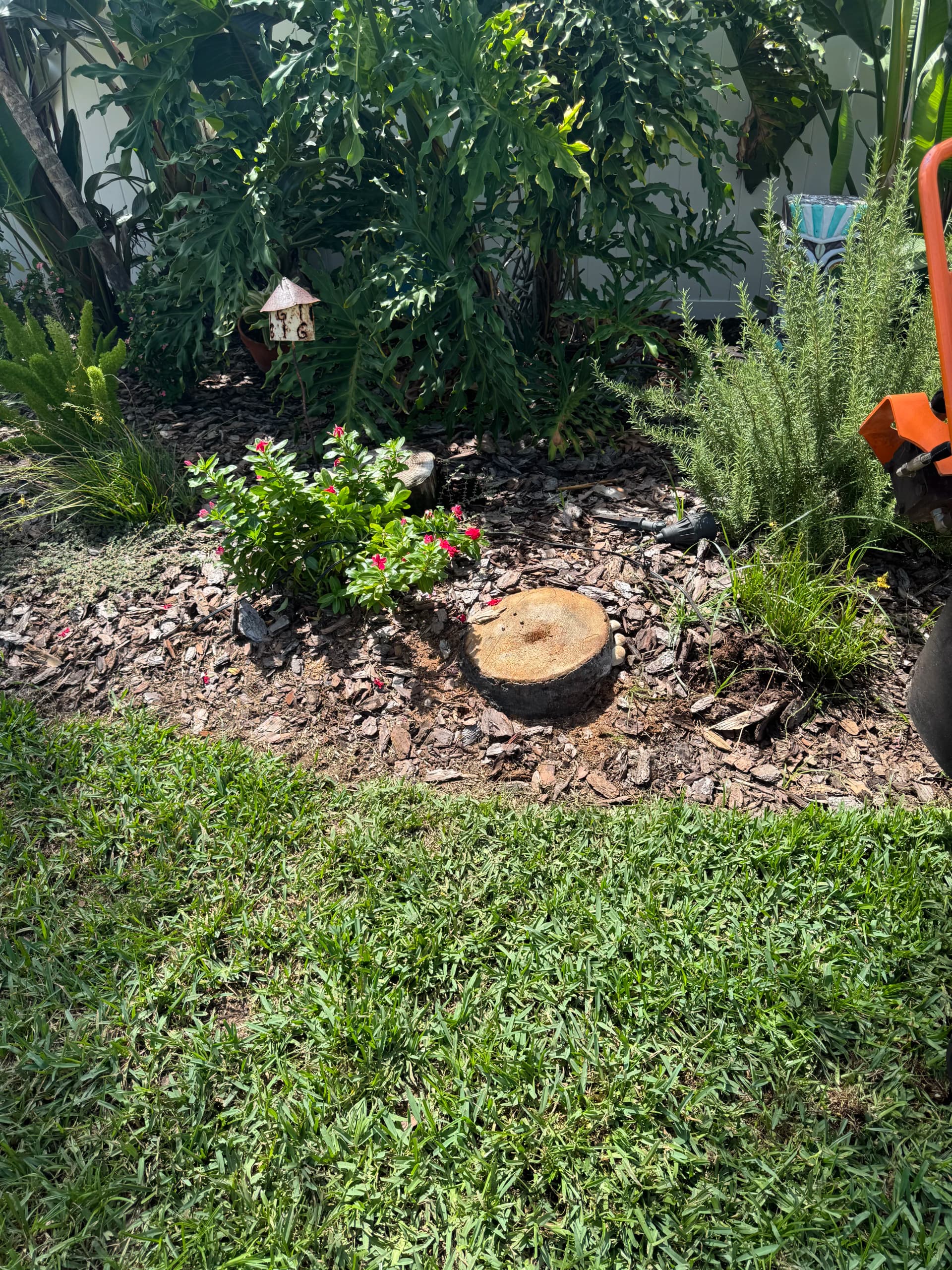 Stump Grinding in a Tight Garden Bed Without Touching a Single Plant image