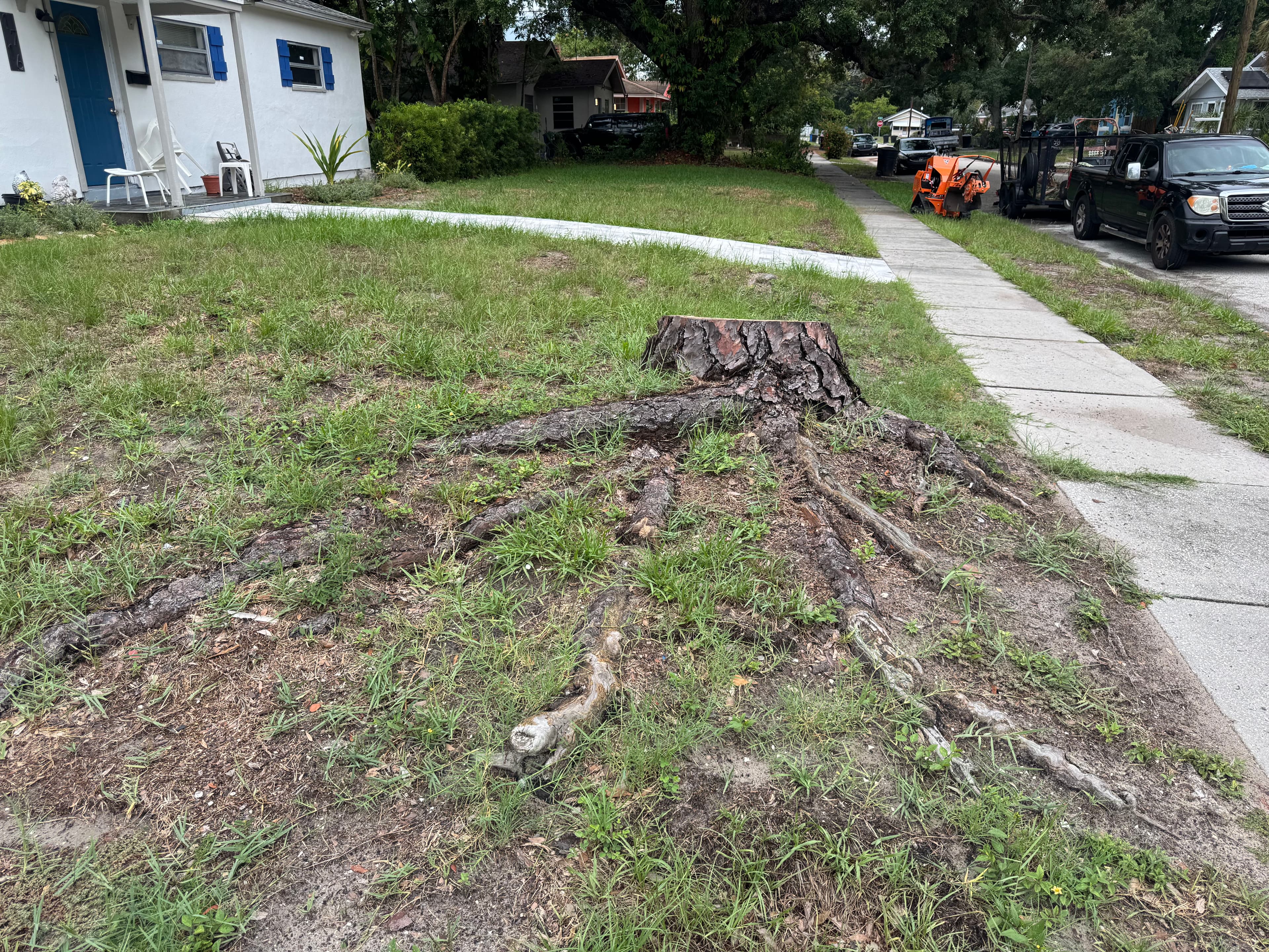 Project That Stubborn Front Yard Stump Is Gone for Good image