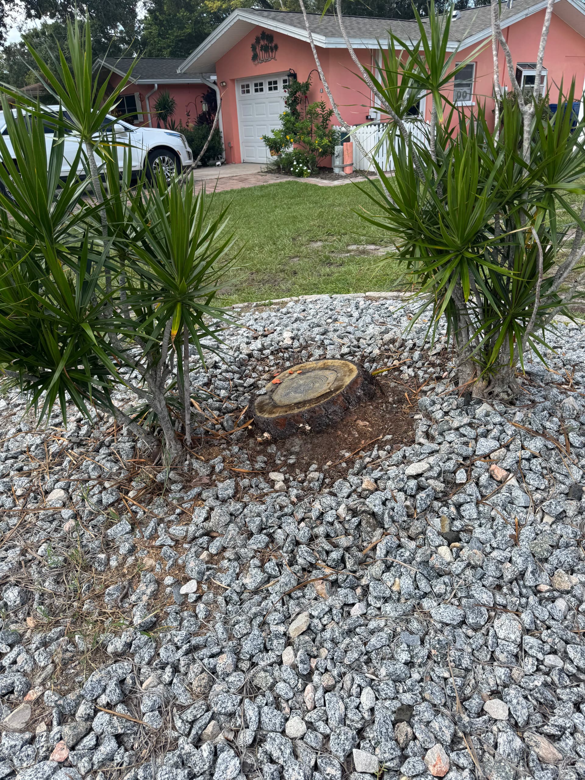 Stump Grinding Clears the Way in a Rock Garden Bed image
