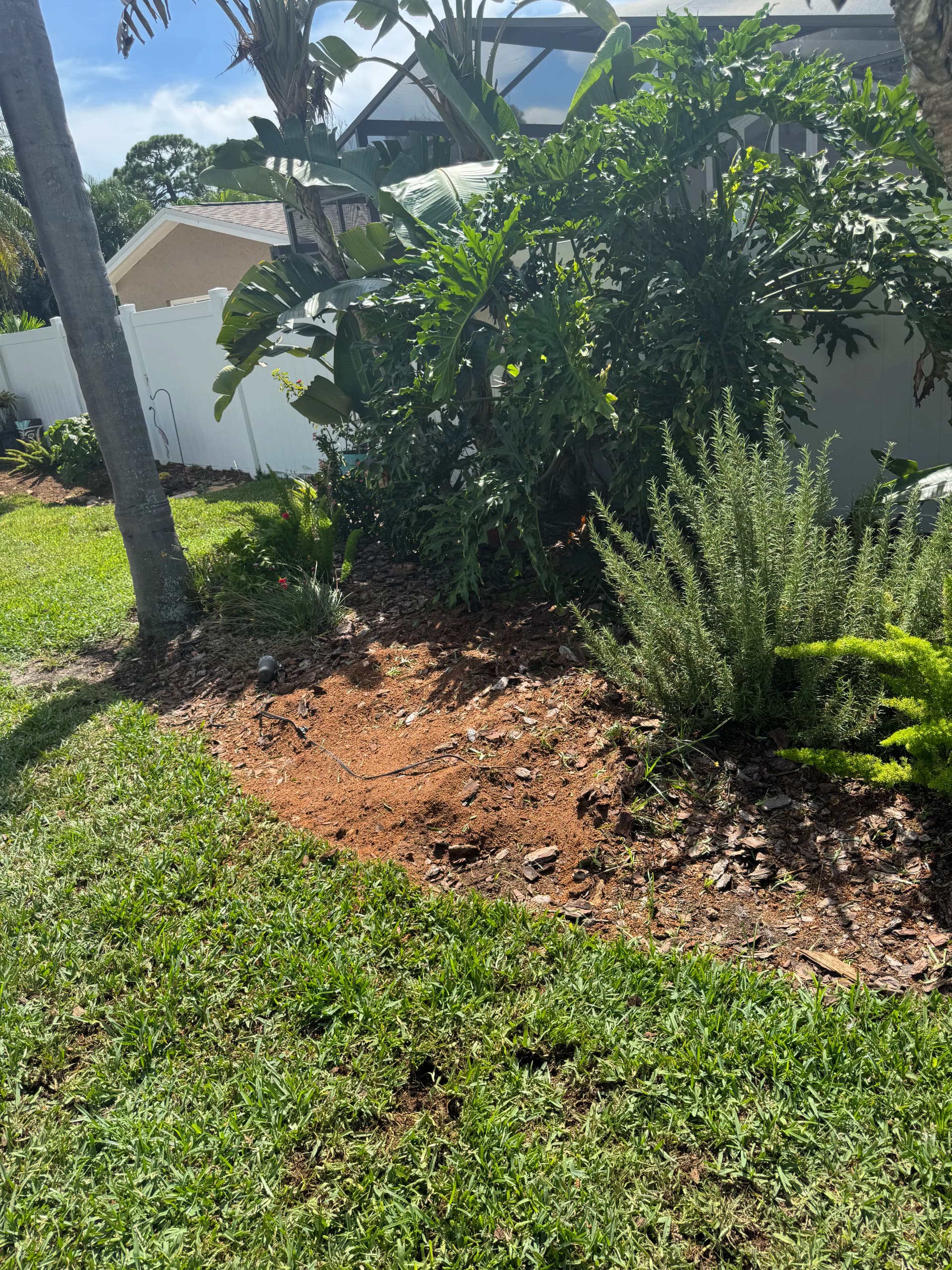 Gallery photos for Stump Grinding in a Tight Garden Bed Without Touching a Single Plant: Image #1