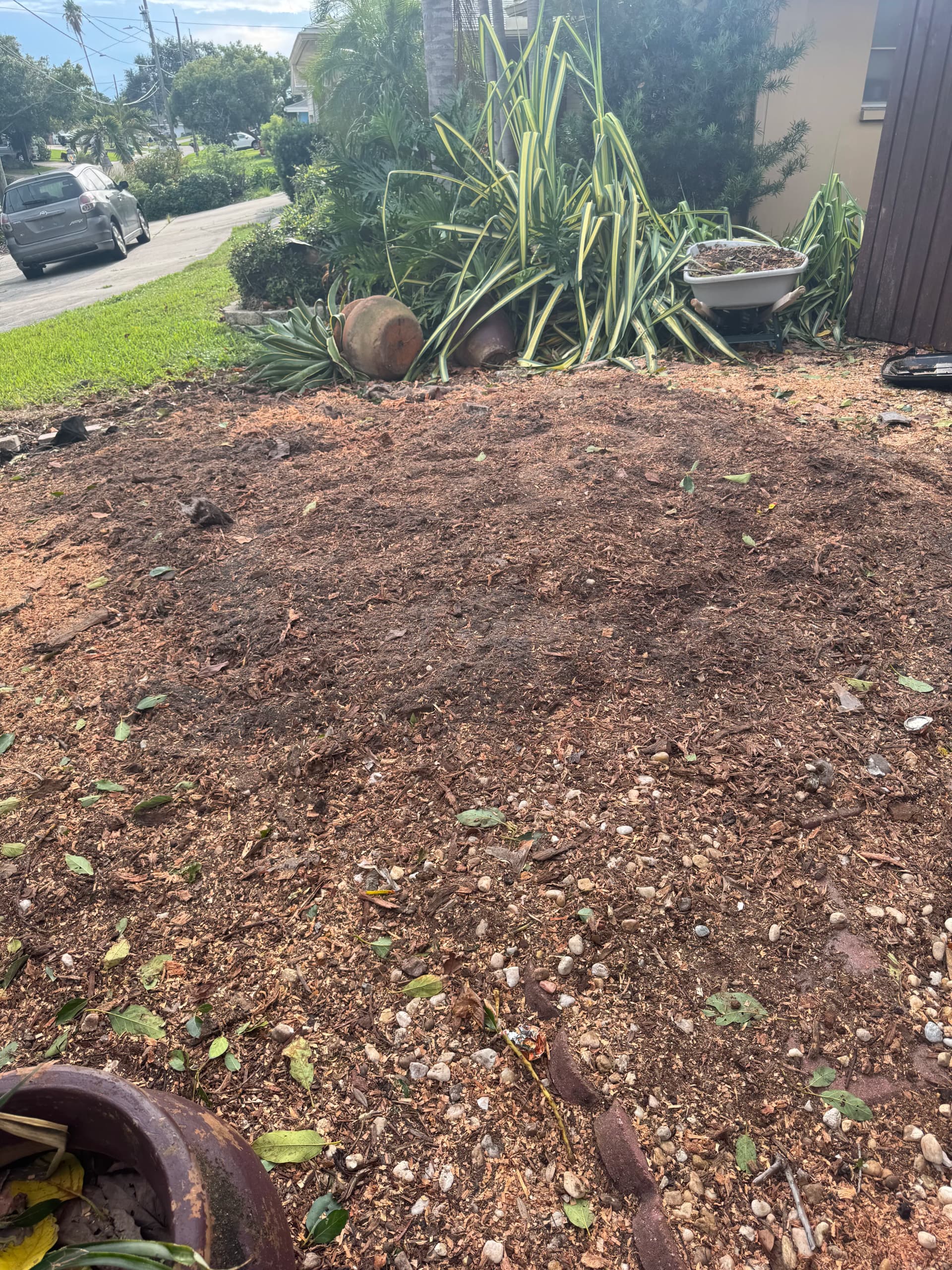 Gallery photos for Avocado Stump Grinding Done Right - Space Reclaimed: Image #1