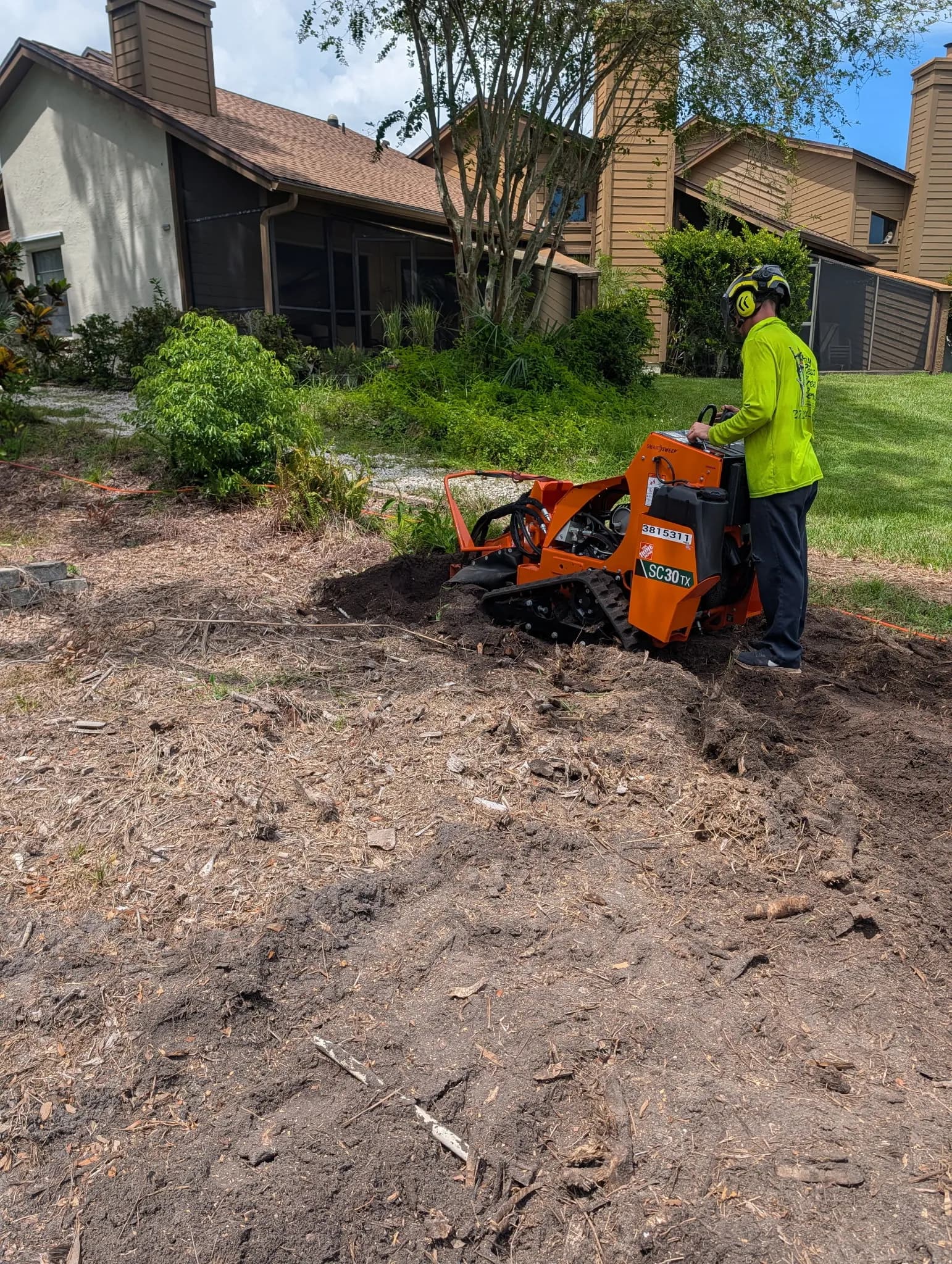 Bamboo Removal Done Right - Taking Your Yard Back image