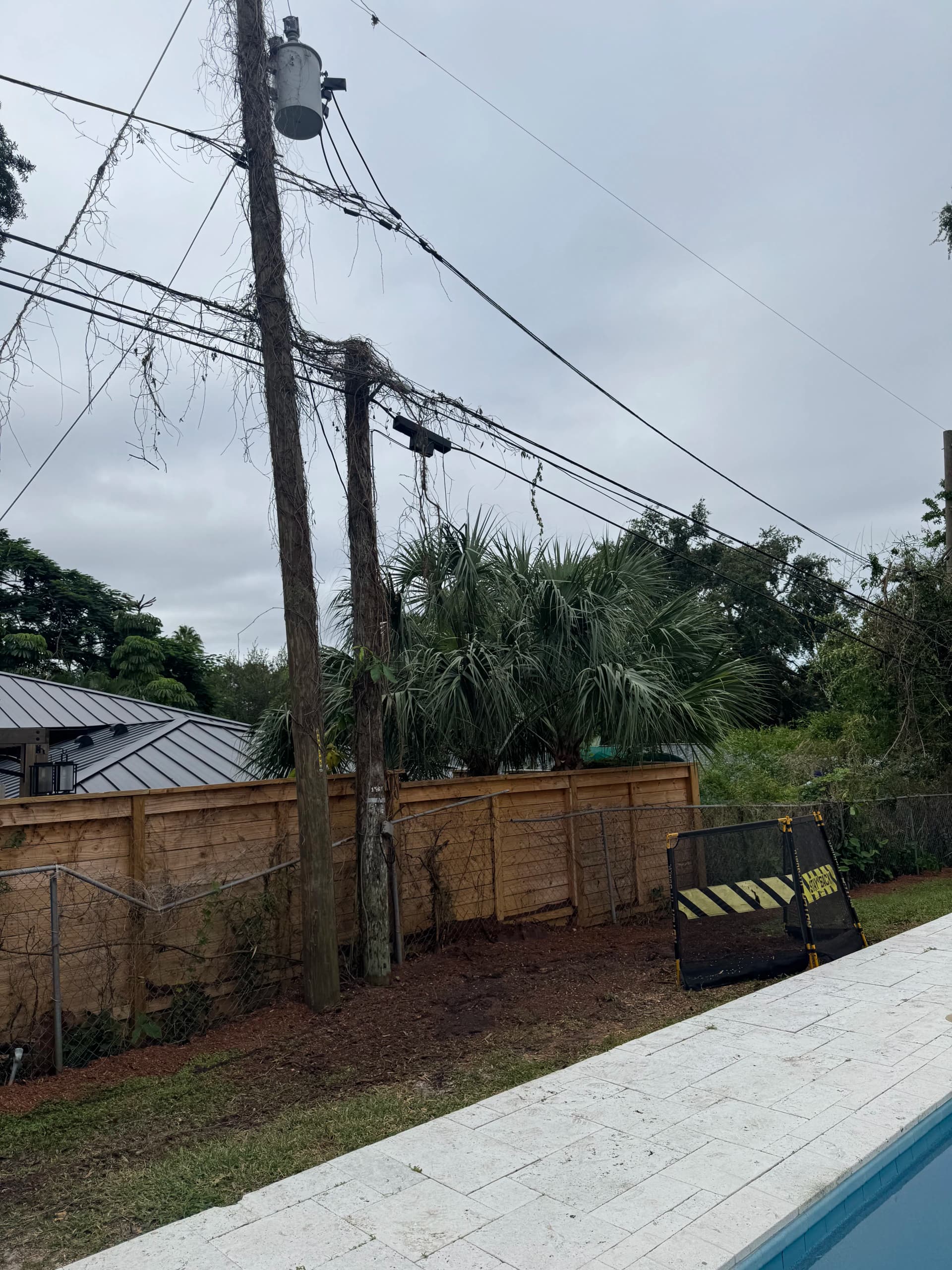 Gallery photos for Dead Oak Removal Over Power Lines, Pool, and New Fence: Image #1